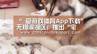  爱游戏体育App下载