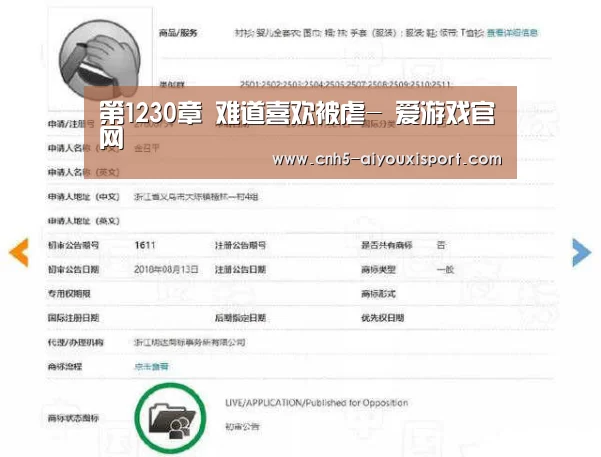  爱游戏官网