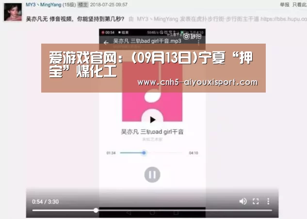 爱游戏官网:(09月13日)宁夏“押宝”煤化工(图2) 爱游戏官网