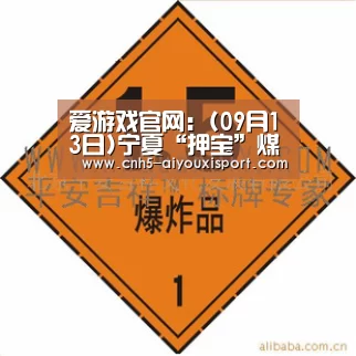 爱游戏官网:(09月13日)宁夏“押宝”煤化工(图1) 爱游戏体育App下载