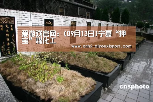 爱游戏官网:(09月13日)宁夏“押宝”煤化工(图3) 爱游戏体育App下载