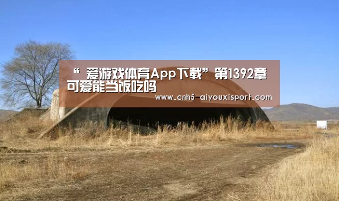爱游戏体育