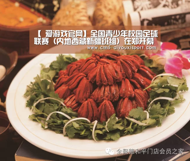 【 爱游戏官网】全国青少年校园足球联赛(内地西藏新疆班组)在郑开幕(图3) 爱游戏体育App下载