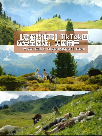 【爱游戏体育】TikTok回应安全质疑:美国用户数据存于美国(图4) 爱游戏体育App下载