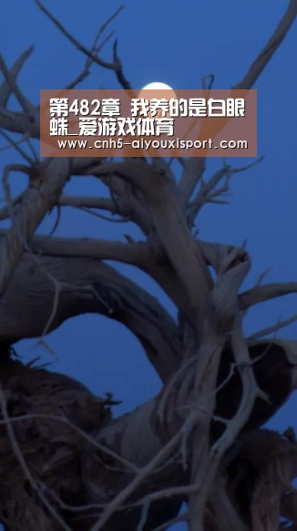 第482章 我养的是白眼蛛_爱游戏体育(图1) 爱游戏体育