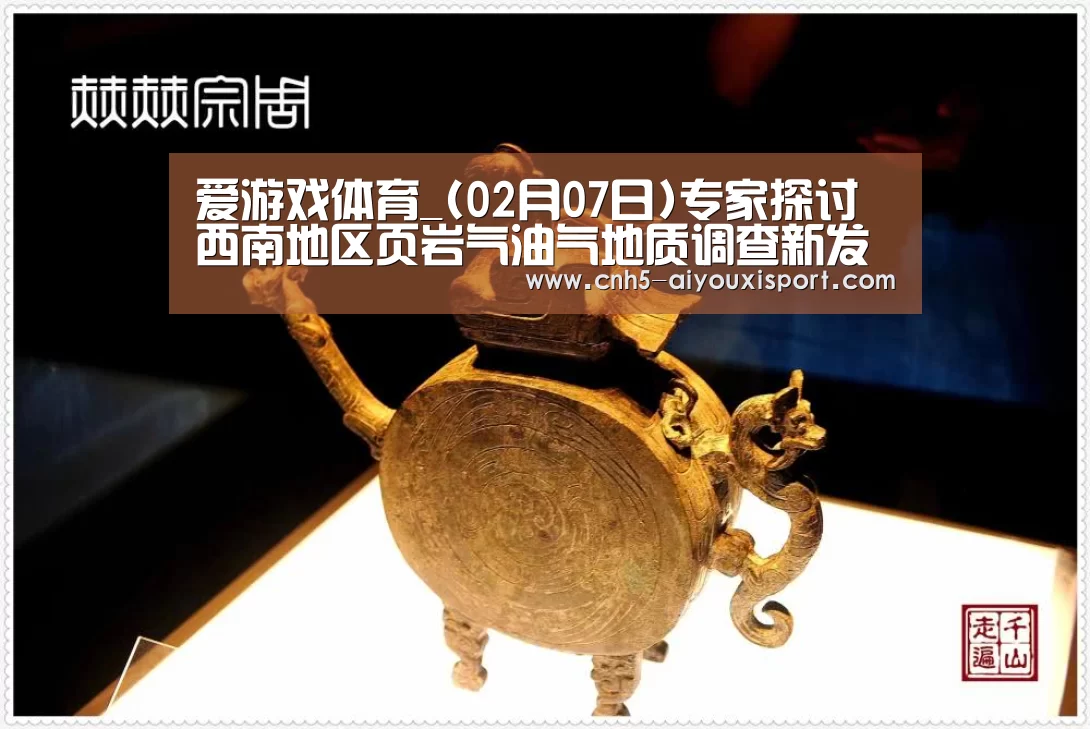 爱游戏体育_(02月07日)专家探讨西南地区页岩气油气地质调查新发现(图3) 爱游戏体育App下载