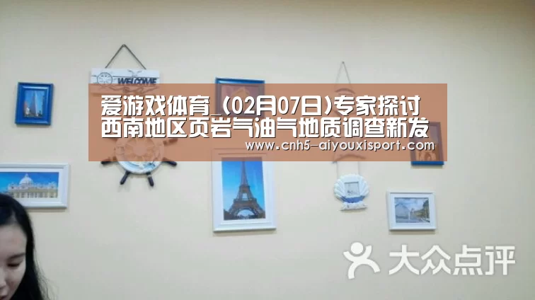 爱游戏体育_(02月07日)专家探讨西南地区页岩气油气地质调查新发现(图1) 爱游戏官网