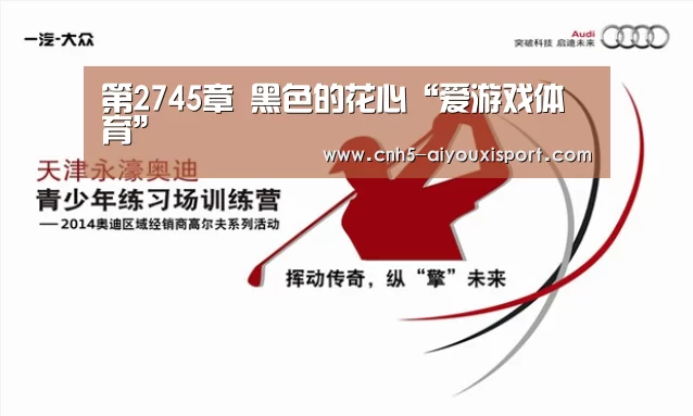  爱游戏官网