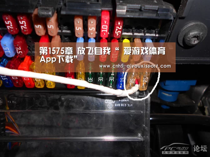 第1575章 放飞自我“ 爱游戏体育App下载”(图2) 爱游戏体育App下载