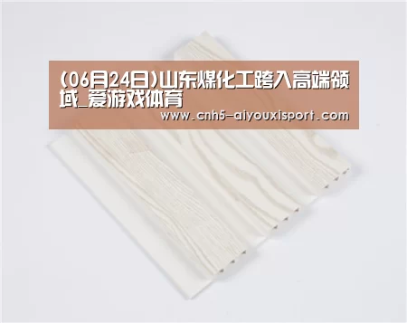 (06月24日)山东煤化工跨入高端领域_爱游戏体育(图3) 爱游戏体育