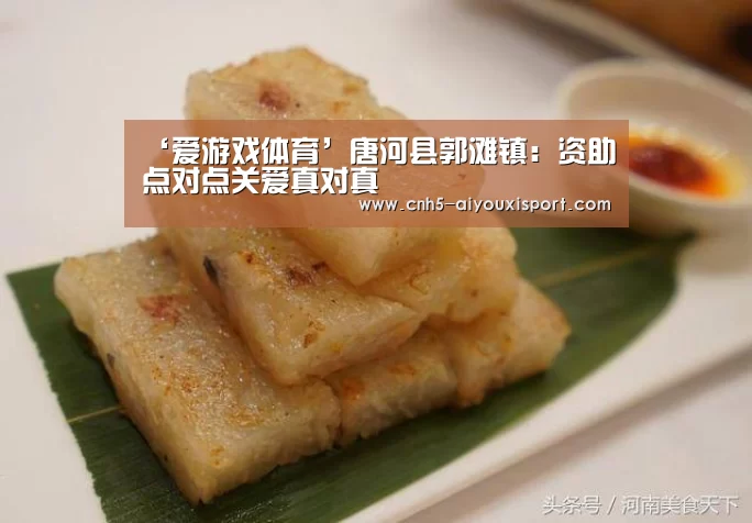 ‘爱游戏体育’唐河县郭滩镇:资助点对点关爱真对真(图1) 爱游戏体育