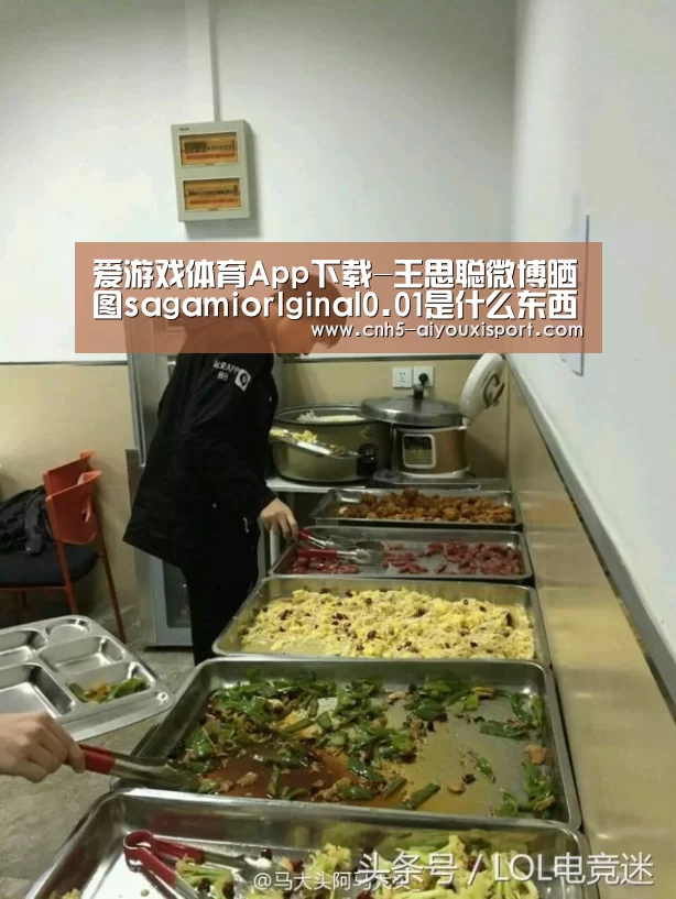 爱游戏体育