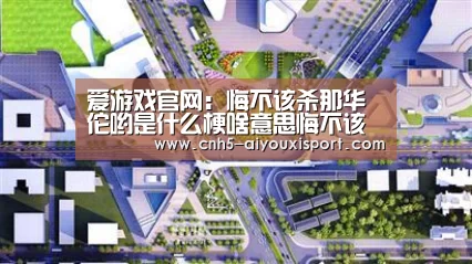 爱游戏官网:悔不该杀那华佗哟是什么梗啥意思悔不该杀那华佗截图表情(图3) 爱游戏官网