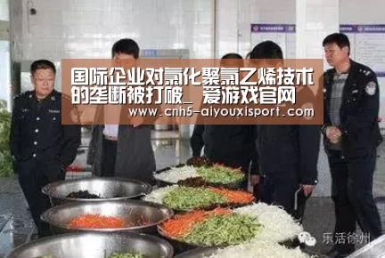 国际企业对氯化聚氯乙烯技术的垄断被打破_ 爱游戏官网(图2) 爱游戏体育App下载